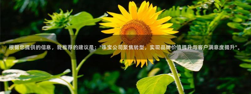 众腾娱乐代理怎么样：根据您提供的信息，我推荐的建议是：\