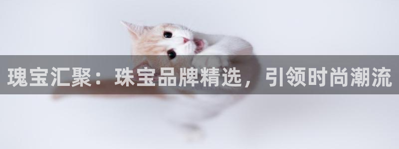 腾众娱乐是个啥：瑰宝汇聚：珠宝品牌精选，引领时尚潮流