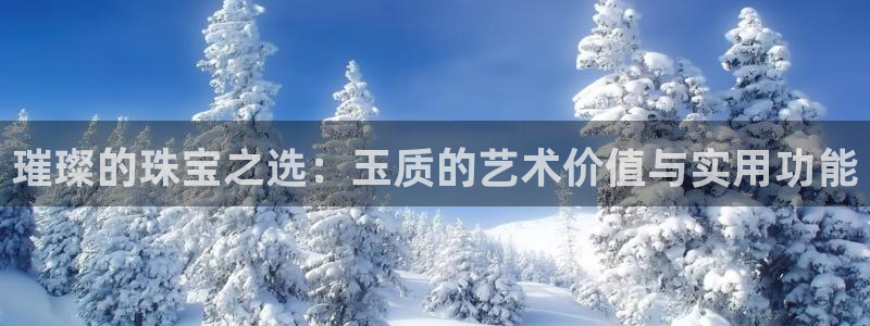 众腾娱乐扣款是正规的吗：璀璨的珠宝之选：玉质的艺术价值与实用