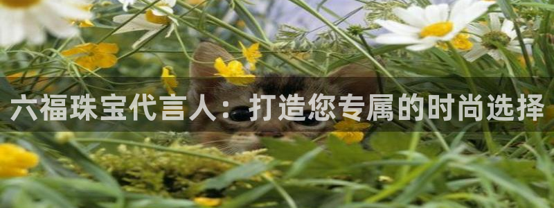 众腾娱乐文化怎么样