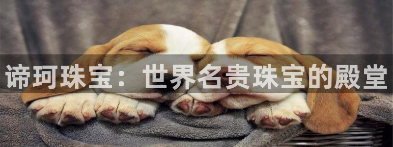 包头众腾娱乐密室逃脱