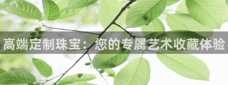 内蒙古众腾娱乐文化法人