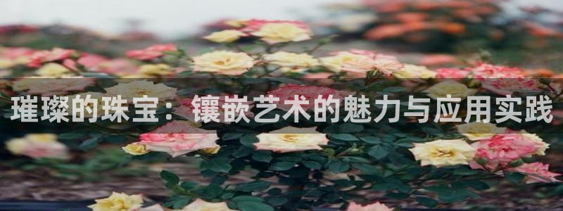 众腾娱乐公司简介