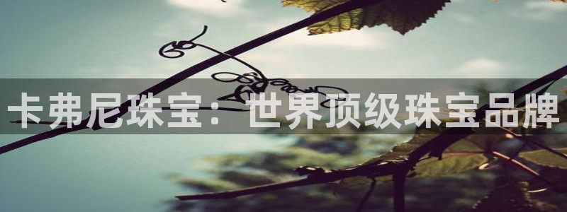 岳阳众腾ktv娱乐