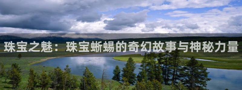 众腾娱乐文化怎么样