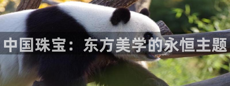 众腾娱乐扣款是正规的吗