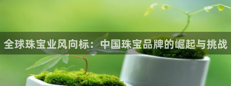 众腾娱乐集团有限公司:全球珠宝业风向标:中国珠宝品牌的崛起与