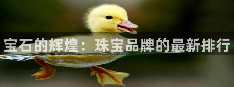 众腾娱乐官方客服电话