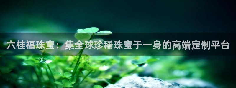 众腾娱乐毕 7O935