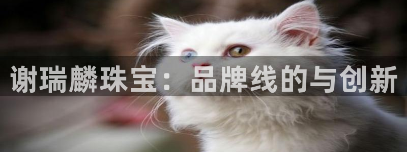 腾耀娱乐众推46996