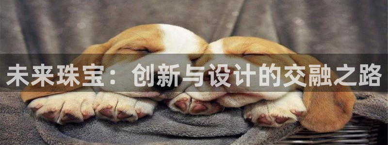 众腾娱乐总代理