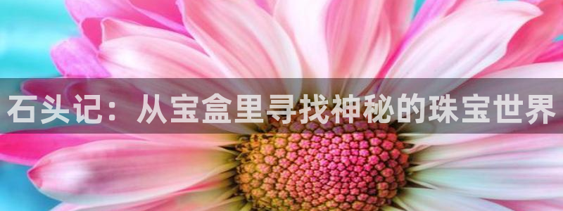 楚雄众腾娱乐在哪里