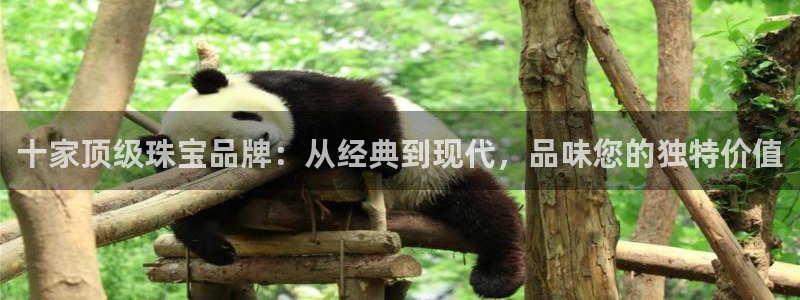 众腾娱乐集团有限公司