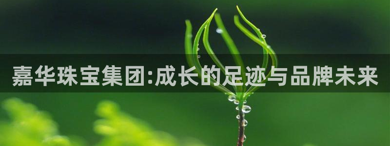 包头众腾娱乐密室逃脱：嘉华珠宝集团:成长的足迹与品牌未来