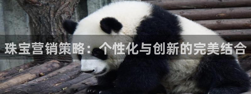 众东腾娱乐客服