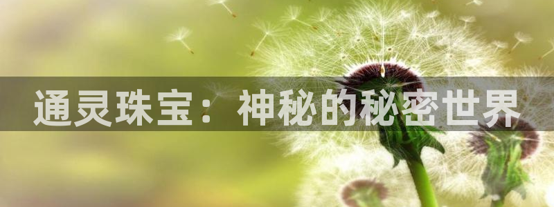 众腾娱乐平台下载：通灵珠宝：神秘的秘密世界