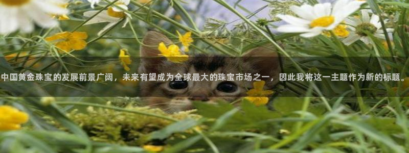 众腾娱乐得7O777：中国黄金珠宝的发展前景广阔，未来有望成