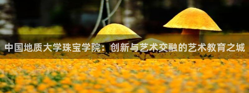 腾耀3娱乐众推8 28：中国地质大学珠宝学院：创新与艺术交融